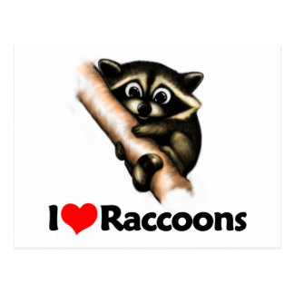 Afbeeldingsresultaat voor i love raccoons