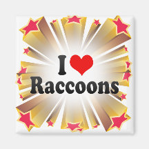 I Love Raccoons Refrigerator Magnet