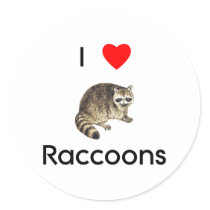 I love raccoons Sticker by towalj I love raccoons Sticker