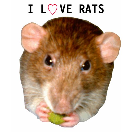 I Love Rats T Shirt shirt
