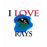 manta, devilfish, ray, t143, t159, animalgift143,