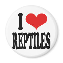 I Love Reptiles magnets