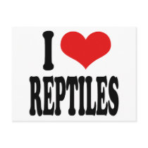I Love Reptiles Post Card