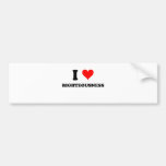 I Love Righteousness Bumper Sticker