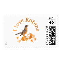 I Love Robins postage
