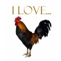 I Love Roosters-Birds, Rooster, Hen t-shirts
