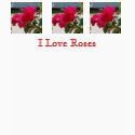 I Love Roses Hoody t-shirts