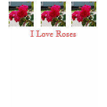 I Love Roses Hoody t-shirts