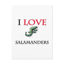 I Love Salamanders postcards by tshirtshirts I Love Salamanders postcards