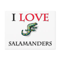 I Love Salamanders postcards by tshirtshirts I Love Salamanders postcards