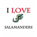 I Love Salamanders t-shirts by tshirtshirts I Love Salamanders t-shirts