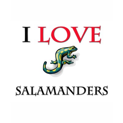 I Love Salamanders T-shirts by tshirtshirts