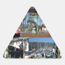 i love santa barbara.png triangle stickers