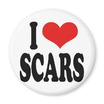 I Love Scars magnets