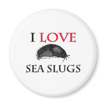 I Love Sea Slugs magnets