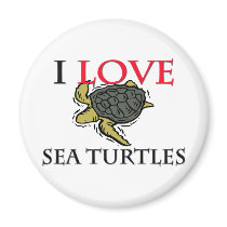 I Love Sea Turtles magnets