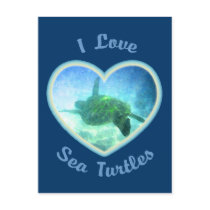 I Love Sea Turtles Postcard