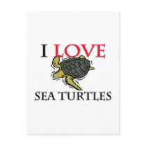 I Love Sea Turtles postcards