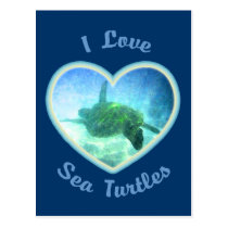 I Love Sea Turtles Postcard