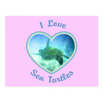 I Love Sea Turtles Postcard