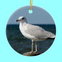 I love Seagulls! ornaments