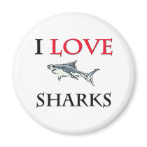 I Love Sharks Magnet