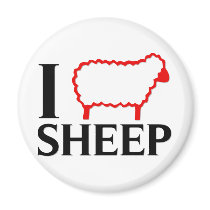 I Love Sheep Refrigerator Magnets