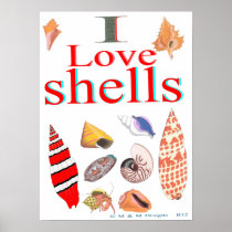 I Love Shells Poster