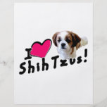 I love Shih Tzus! Full Color Flyer