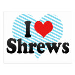 I Love Shrews Postcard
