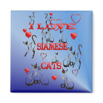 I Love Siamese Cats  Magnet magnets