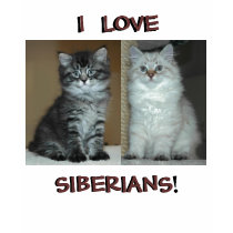 I LOVE SIBERIANS SHIRT