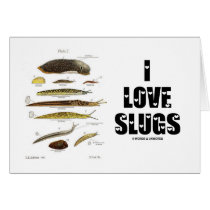 I Love Slugs (Naturalist / Nature) Greeting Cards