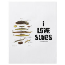 I Love Slugs (Naturalist / Nature) Full Color Flyer