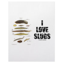 I Love Slugs (Naturalist / Nature) Letterhead