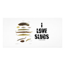 I Love Slugs (Naturalist / Nature) Photo Cards