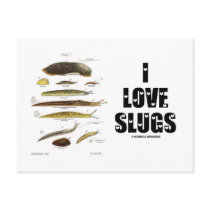 I Love Slugs (Naturalist / Nature) Postcards
