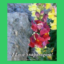I Love Snapdragons! posters