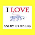 I Love Snow Leopards t-shirts by tshirtshirts I Love Snow Leopards t-shirts