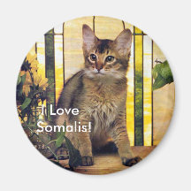 I love Somali Cats Magnets