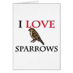 I Love Sparrows