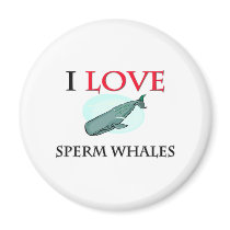I Love Sperm Whales magnets