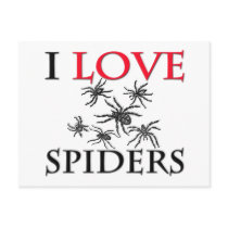 I Love Spiders Postcards