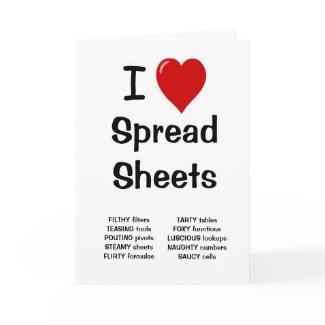 I Love Spreadsheets Cheeky and Rude Birthday Card card