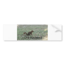 I LOVE SQUIRRELS bumper stickers by tina312 I LOVE SQUIRRELS bumper stickers