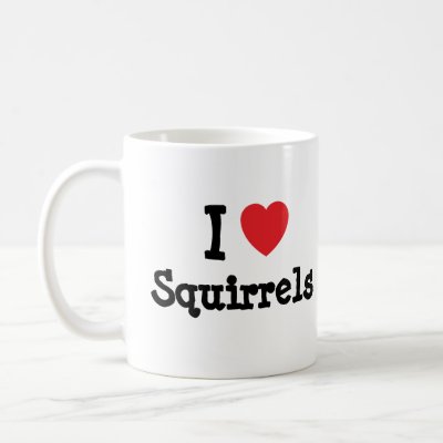 squirrels heart