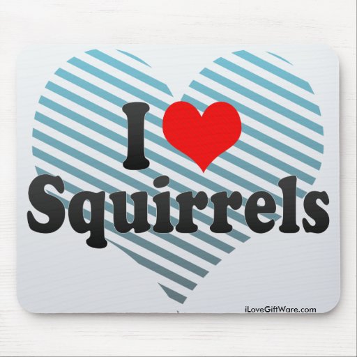 I Love Squirrels Mousepad