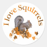 I Love Squirrels Stickers