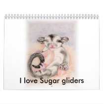 I love Sugar gliders calender Calendar