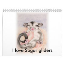 I love Sugar gliders calender Calendar
